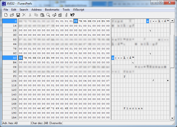 iTunesPrefs in XVID32