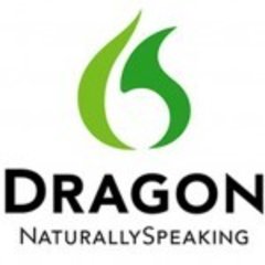 Dragon Mobile Logo